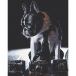 Набір для розпису 