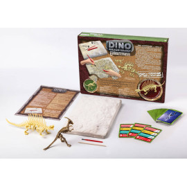 Раскопки "DINO PALEONTOLOGY" 5в.
