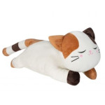 Ледачий кіт