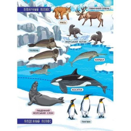 Енциклопедія з наліпками. Тварини світу