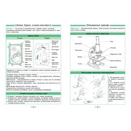 Довідник у таблицях. 5-6 клас. Природознавство. Біологія. 5–6 класи