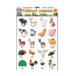 Ігри на магнітах 