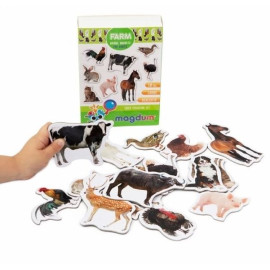 Magnetic set 