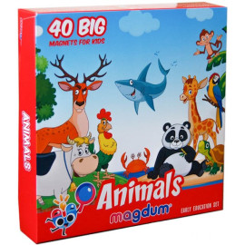 Набір магнітів 