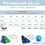 Ласти арт. 55937  "Medium Swim Fins" (р-р 38-40) полівініл