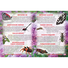 Книга "Ілюстрований атлас живої природи"