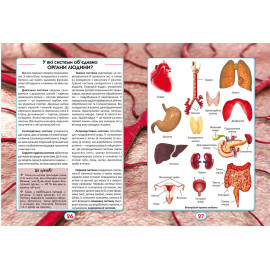 Книга "Ви маєте це знати. Усе про все"