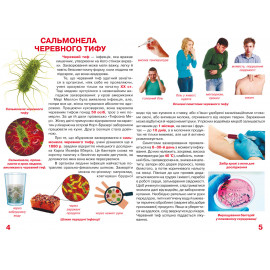 Книга "Велика книжка. Бактерії"