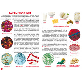 Книга "Велика книжка. Бактерії"