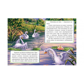 КА5 укр_Гидке каченя /20 (ИД)