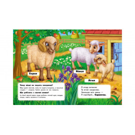 КА5 КК укр_Хто це? На фермі /20 (ИД)