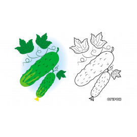 СкРА5_ПР укр_Овочі НОВ/50