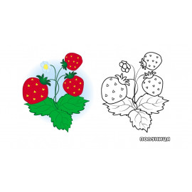 СкРА5_ПР укр_Фрукти і ягоди/50