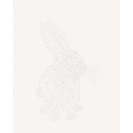 Зоометрія. Улюблені тварини (у)