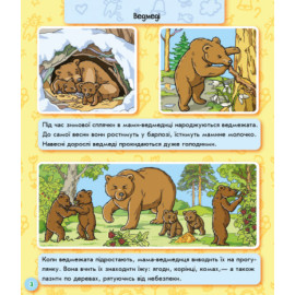 Енциклопедія в картинках : Світ тварин (у)