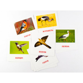 Картки міні Птахи (110х110 мм) (укр) Картки міні Птахи (110х110 мм) (укр)