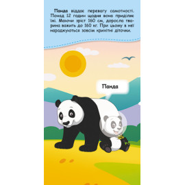 КЕНГУРУ Книжка у кишеню з наліпками. Де чий малюк? (Укр)