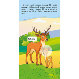 КЕНГУРУ Книжка у кишеню з наліпками. Де чий малюк? (Укр)