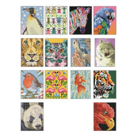 Кольоровий квест. ЗооДива (у) книга