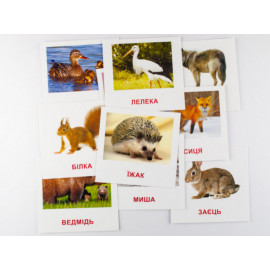 Картки міні Лісові мешканці (110х110 мм)(укр)