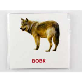 Картки міні Лісові мешканці (110х110 мм)(укр)