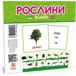 Картки міні Світ рослин (110х110 мм) Картки міні Світ рослин (110х110 мм)