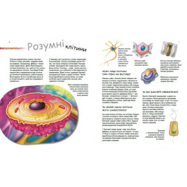 Генетика для дітей : Геніальні гени (у)