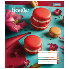 А5/96 лін. 1В Bright goodies, зошит для записів