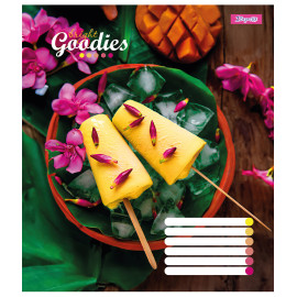 А5/96 лін. 1В Bright goodies, зошит для записів