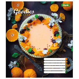 А5/96 лін. 1В Bright goodies, зошит для записів