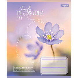 А5/60 лін. 1В Tender Flowers, зошит учнівський загальний