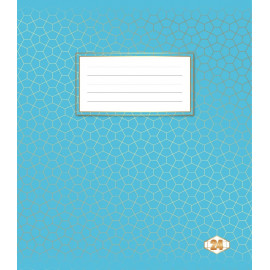 Зошит 24 арк клiтинка "Фоновий  Шкільний" 20/400