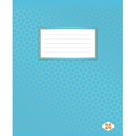 Зошит 24 арк лінія "Фоновий  Шкільний" 20/400