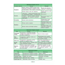 Книга Довідник у таблицях. Біологія. 7–11 класи Книга Довідник у таблицях. Біологія. 7–11 класи