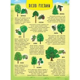 Книга Енциклопедія з наліпками.Лісові тварини та рослини