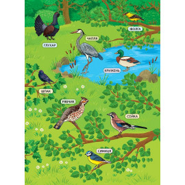 Книга Енциклопедія з наліпками.Лісові тварини та рослини