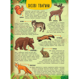 Книга Енциклопедія з наліпками.Лісові тварини та рослини