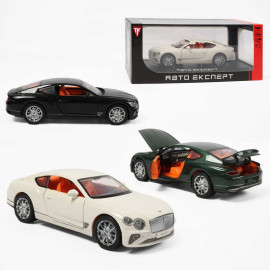Машинка RS-93415 Авто Експерт, металопластик, 1:24, звук, світло, інерція, відчиняються двері, багажник та капот