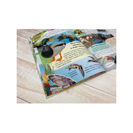 ЦЕ укр_Енциклопедія. ФЕРМА (32 стр)/20