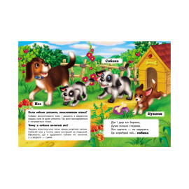 КА5 КК укр_Хто це? На подвір'ї  /20 (ИД)