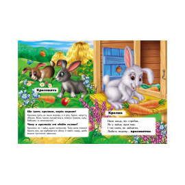 КА5 КК укр_Хто це? На подвір'ї  /20 (ИД)