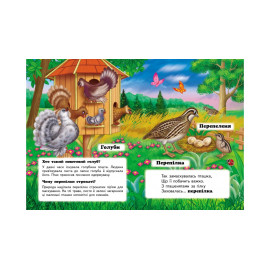 КА5 КК укр_Хто це? На подвір'ї  /20 (ИД)