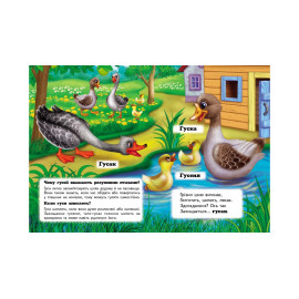 КА5 КК укр_Хто це? На подвір'ї  /20 (ИД)