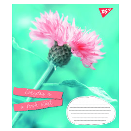 А5/48 лін. 1В Summer flowers, зошит для записів